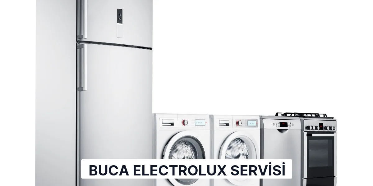Buca Electrolux Servisi