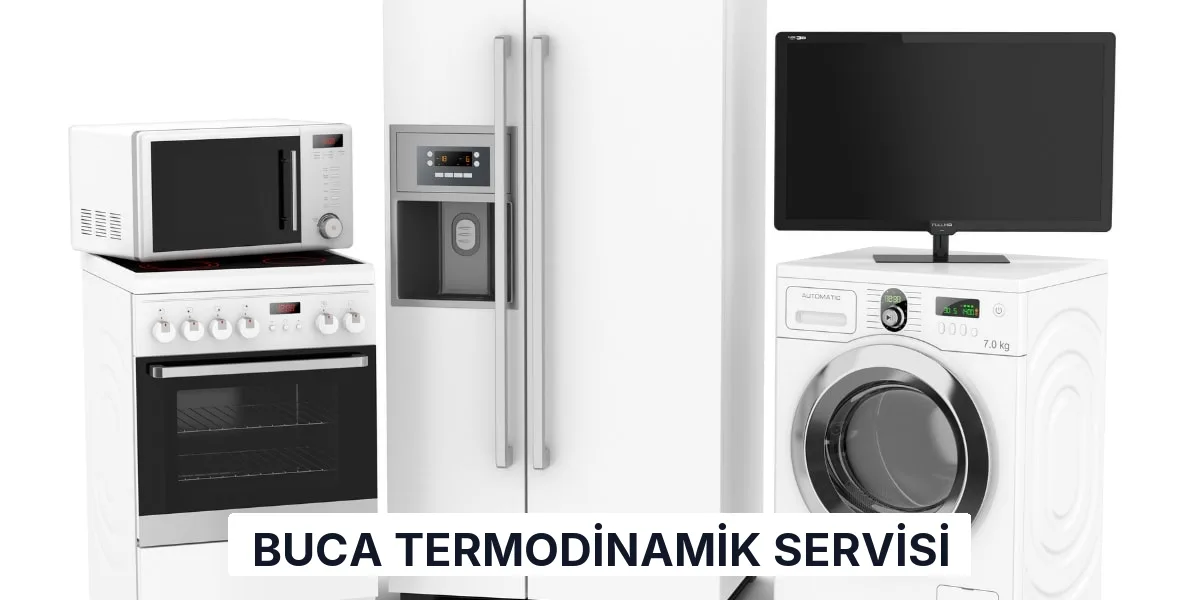 Buca Termodinamik Servisi